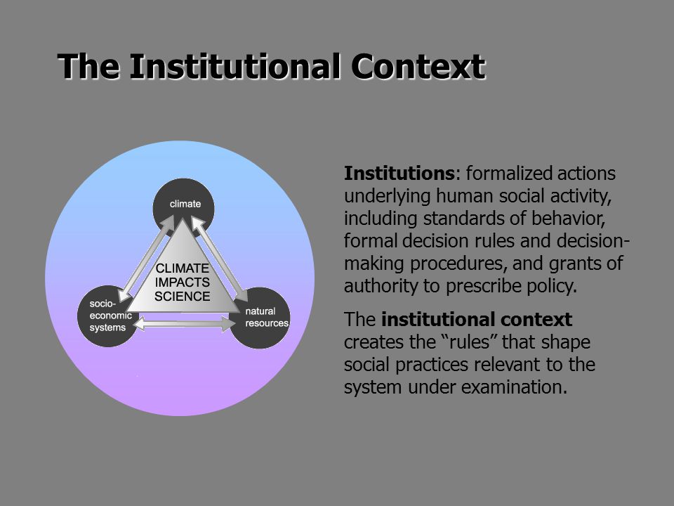 The Institutional Context