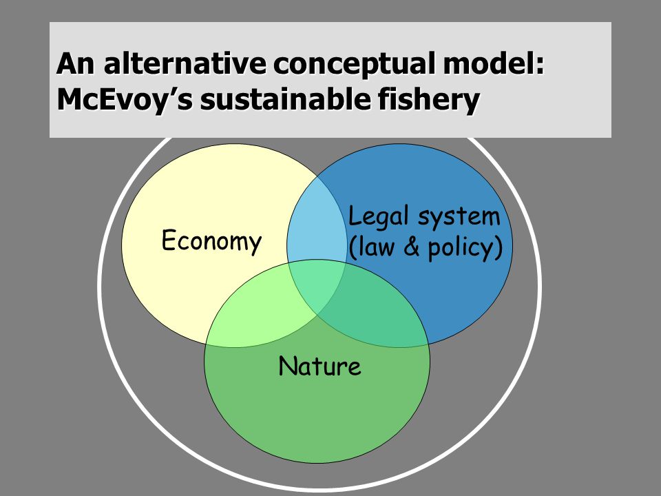 An alternative conceptual model: McEvoy’s sustainable fishery
