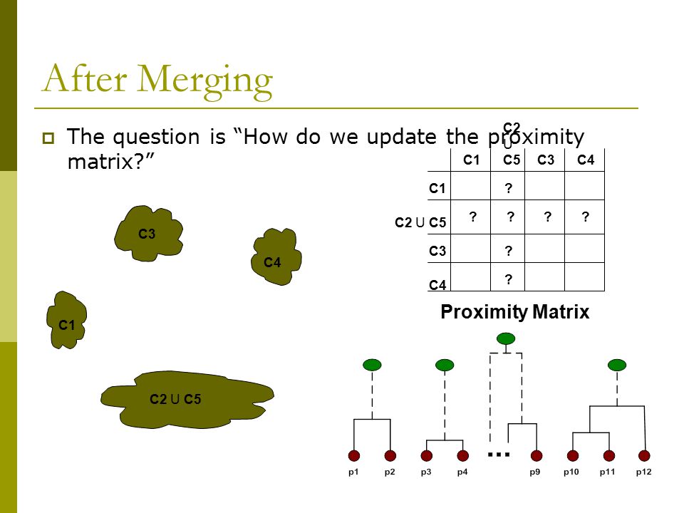 After Merging The question is How do we update the proximity matrix