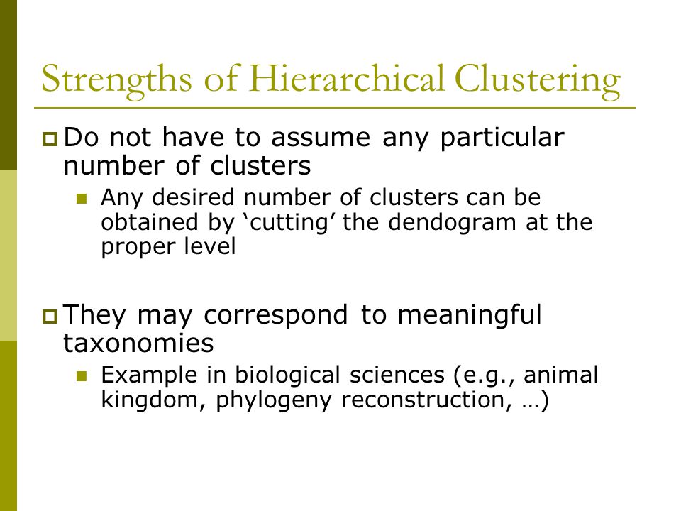 Strengths of Hierarchical Clustering