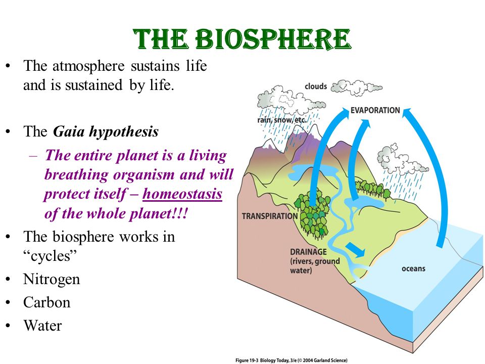 Protecting The Biosphere - Ppt Video Online Download