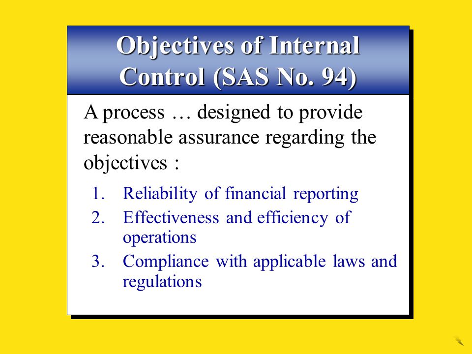 Objectives of Internal Control (SAS No. 94)