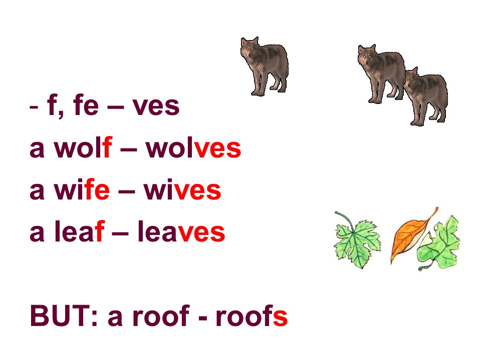 f, fe – ves a wolf – wolves a wife – wives a leaf – leaves BUT: a roof - roofs