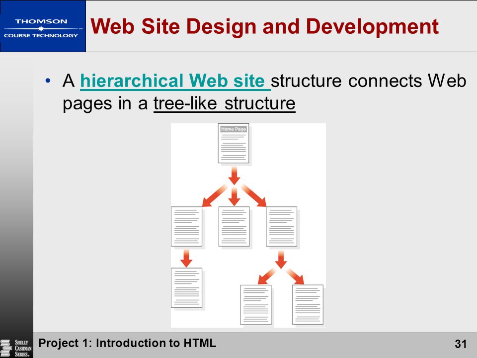 Web Site Design and Development