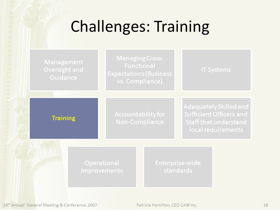 Challenges: Training Management Oversight and Guidance