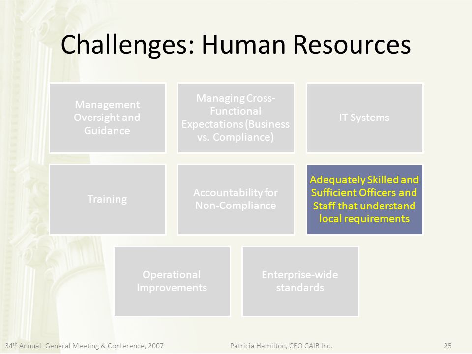 Challenges: Human Resources