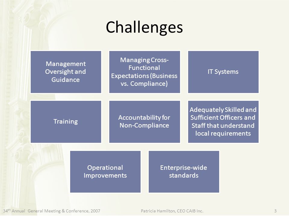 Challenges Management Oversight and Guidance