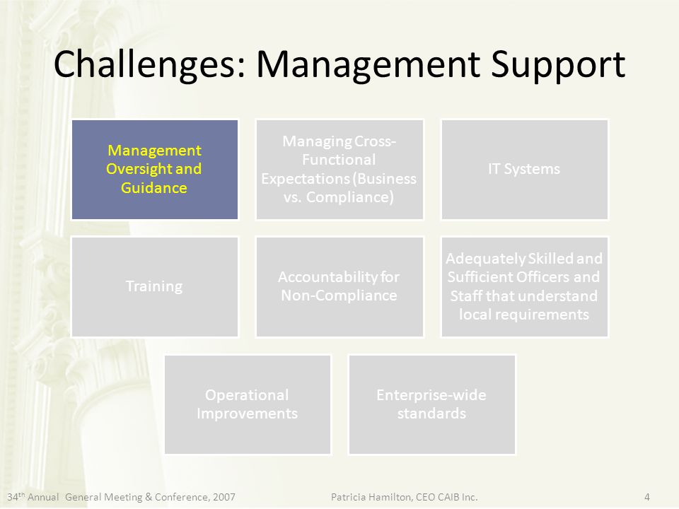 Challenges: Management Support