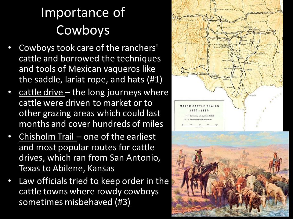 Importance of Cowboys