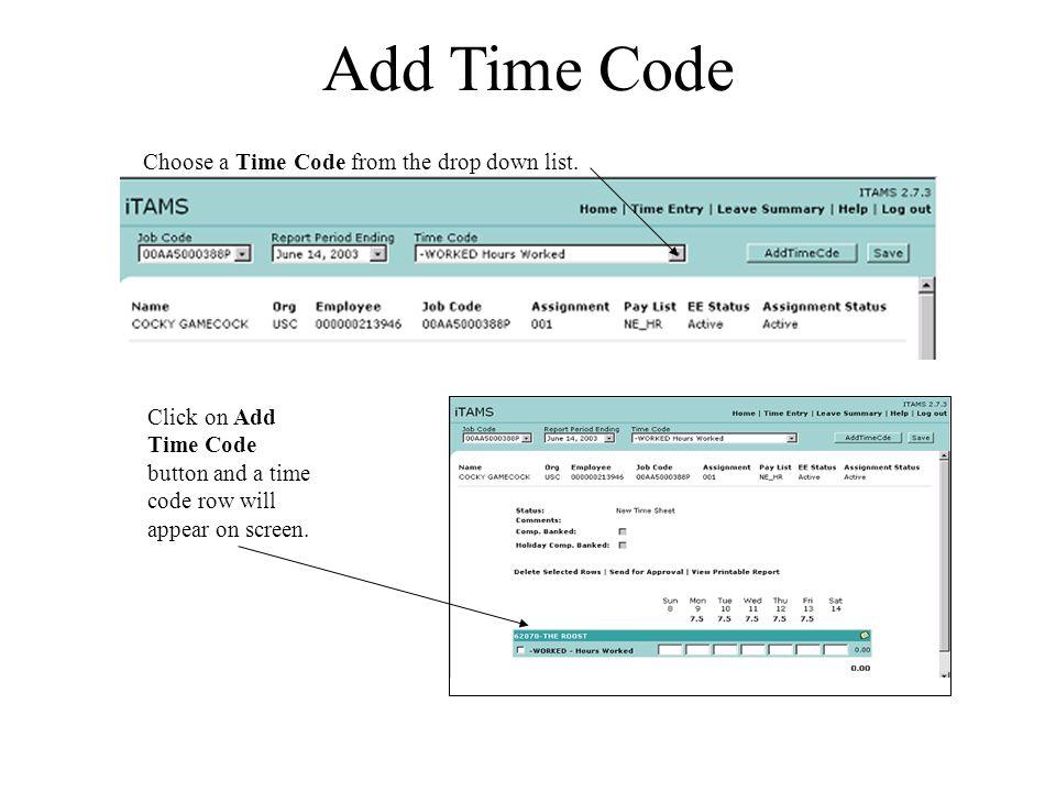 Add Time Code Choose a Time Code from the drop down list.