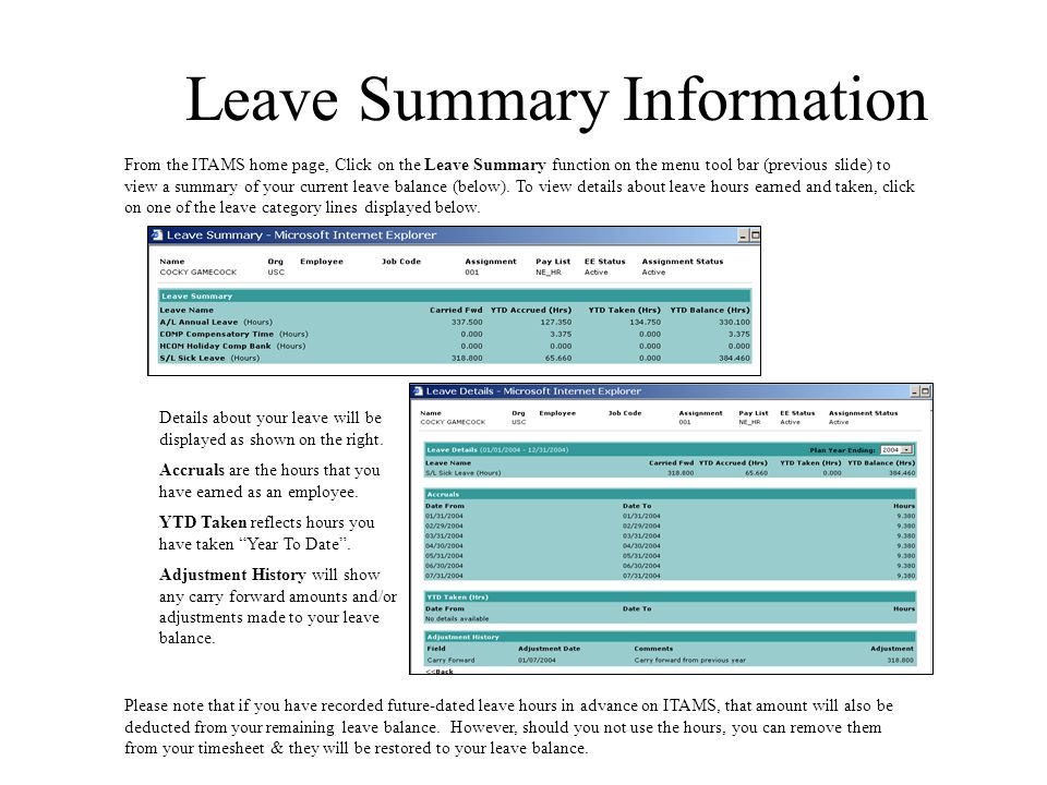 Leave Summary Information