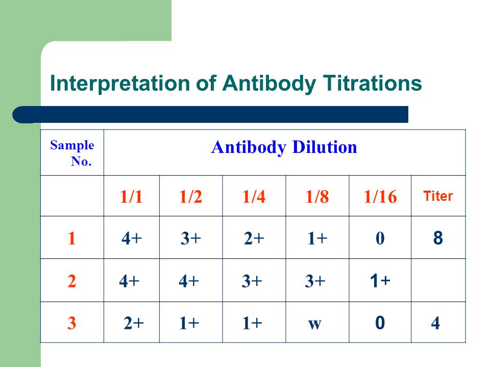 Antibody Titration. - ppt video online download Antibody Titration. - ppt video online download