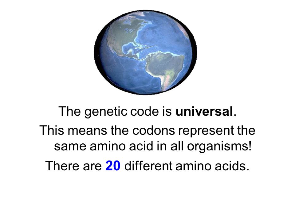 The genetic code is universal.