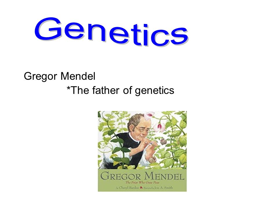 Genetics Gregor Mendel *The father of genetics
