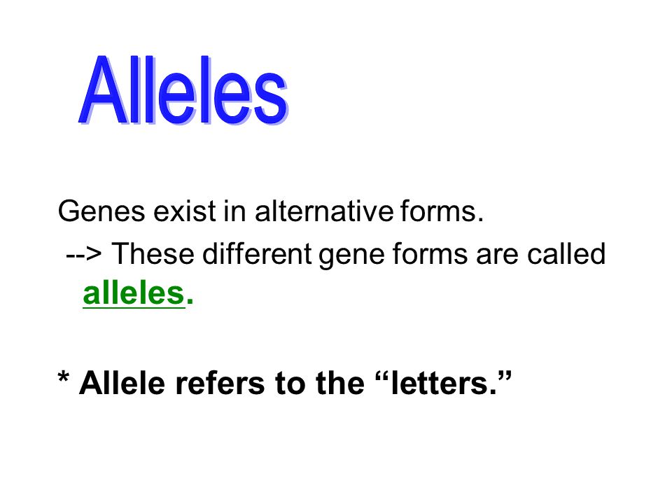 Alleles * Allele refers to the letters.