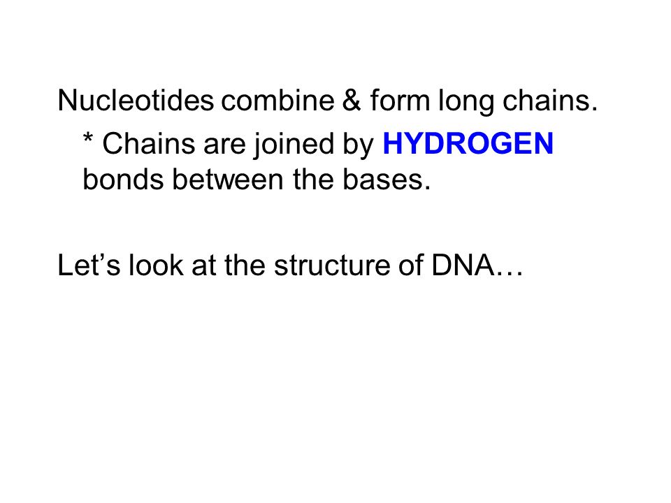 Nucleotides combine & form long chains.