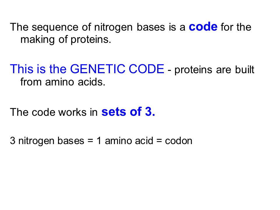 This is the GENETIC CODE - proteins are built from amino acids.