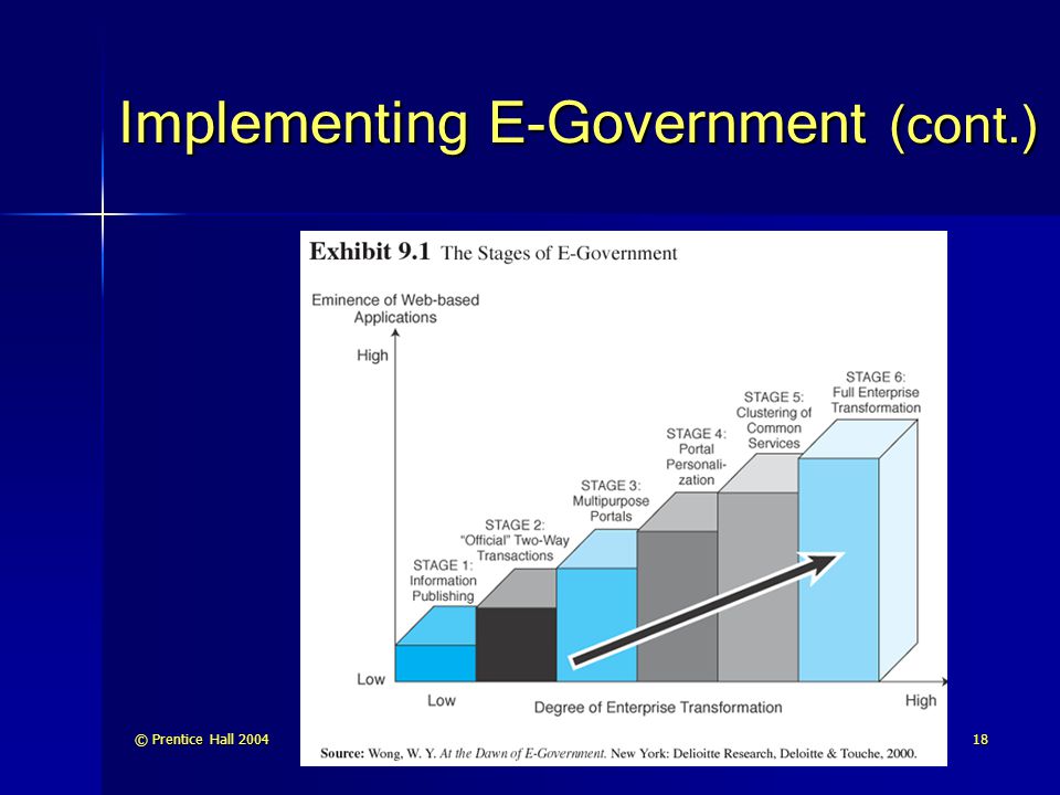 Implementing E-Government (cont.)