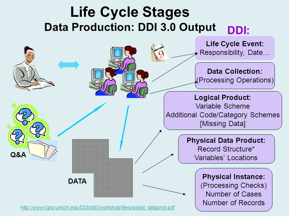 Life Cycle Stages Data Production: DDI 3.0 Output