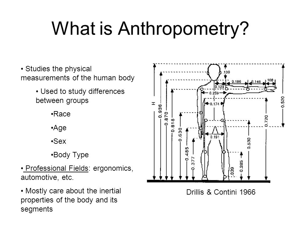 Anthropometry (Chapter 3 – Body Segment Parameters) - ppt video online  download