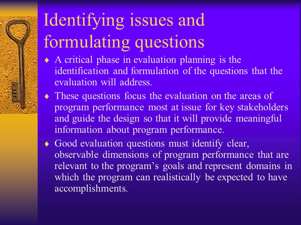 Identifying issues and formulating questions