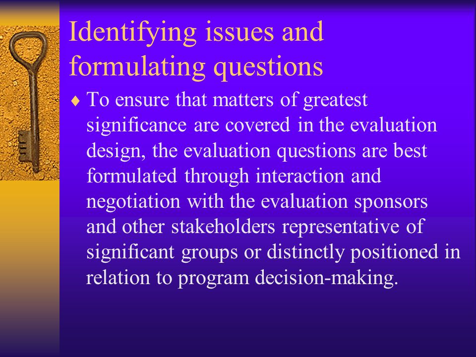 Identifying issues and formulating questions