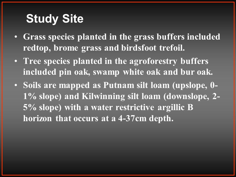 Study Site Grass species planted in the grass buffers included redtop, brome grass and birdsfoot trefoil.
