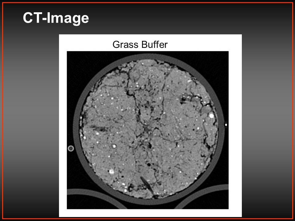 CT-Image Grass Buffer