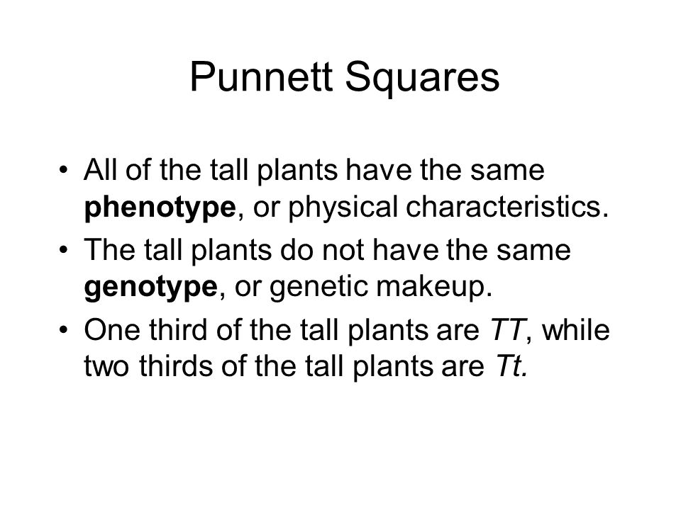 Punnett Squares All of the tall plants have the same phenotype, or physical characteristics.