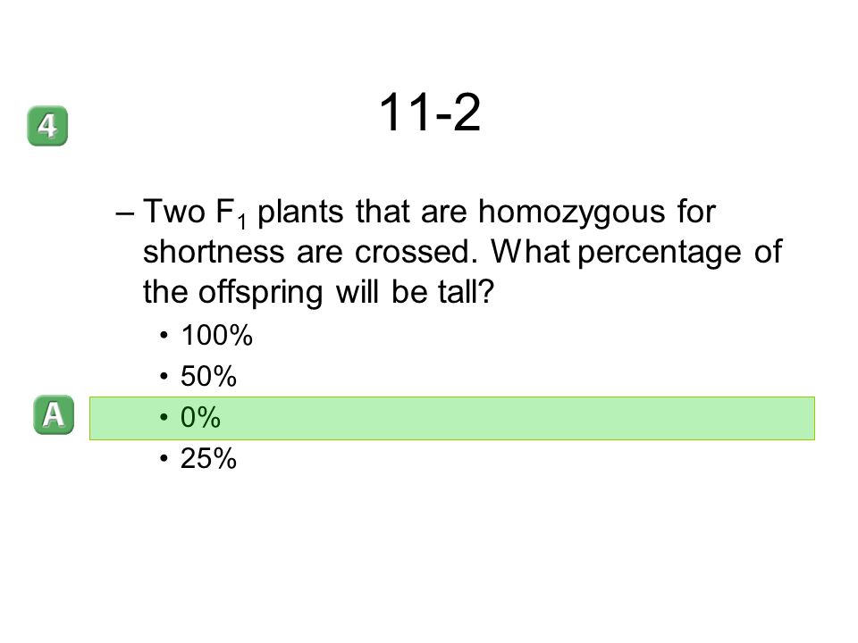 11-2 Two F1 plants that are homozygous for shortness are crossed. What percentage of the offspring will be tall
