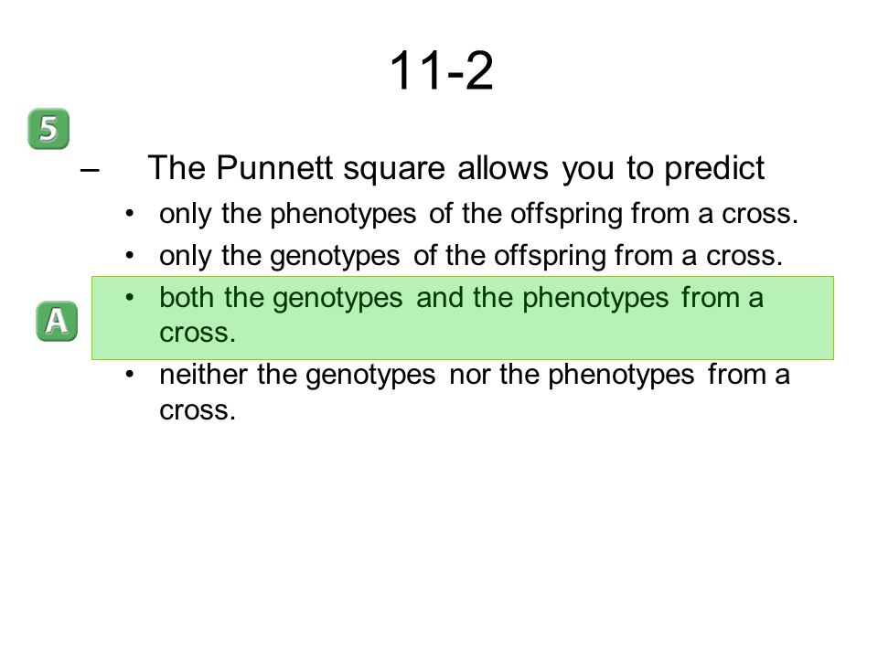 11-2 The Punnett square allows you to predict