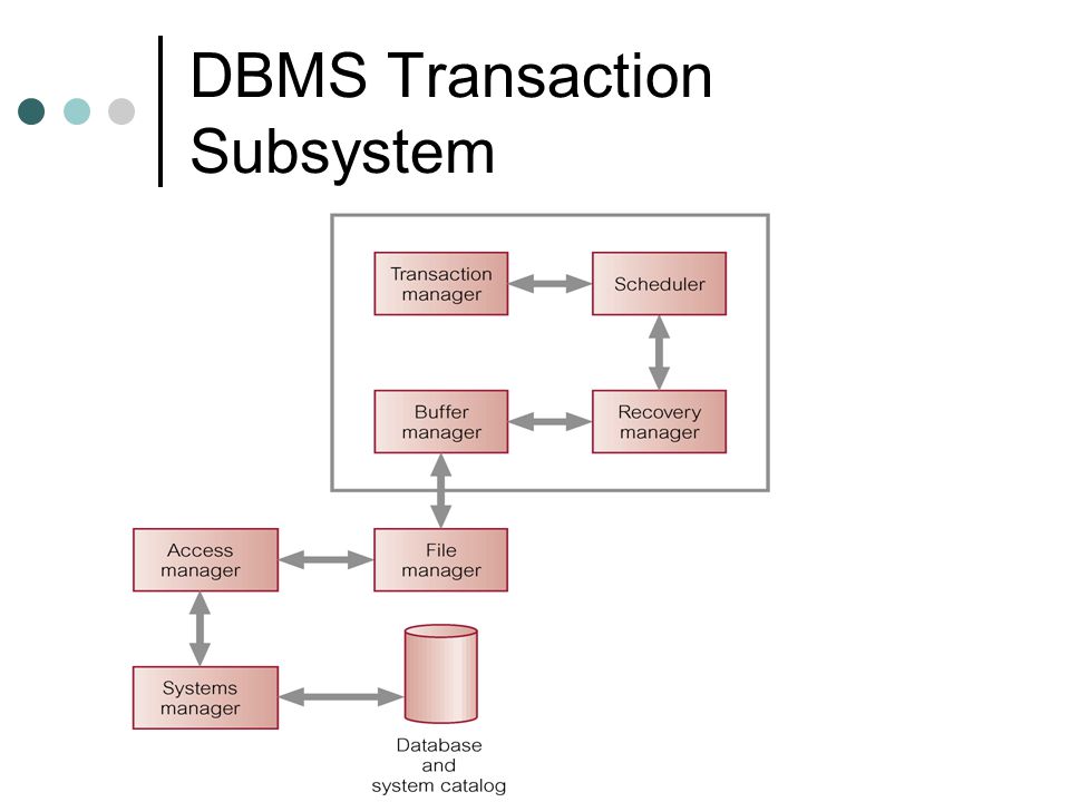 DBMS Transaction Subsystem