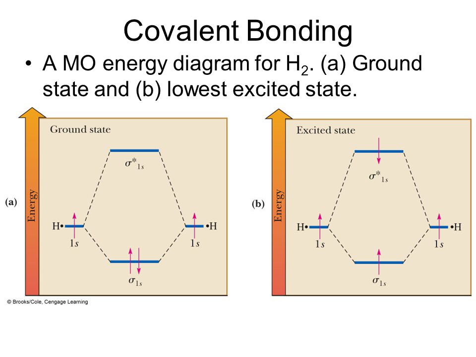 4 H 4 more 1 O 2 more 1 C 1 N+ 14/2 = 7 bonds - ppt download