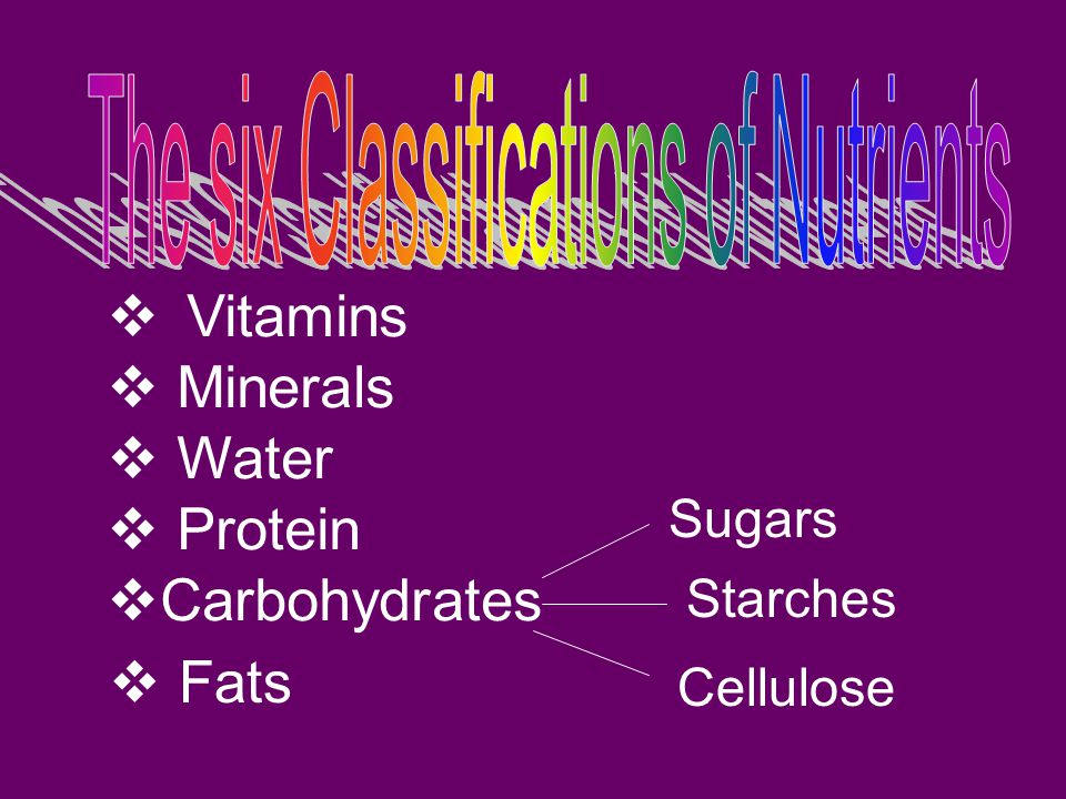 The six Classifications of Nutrients