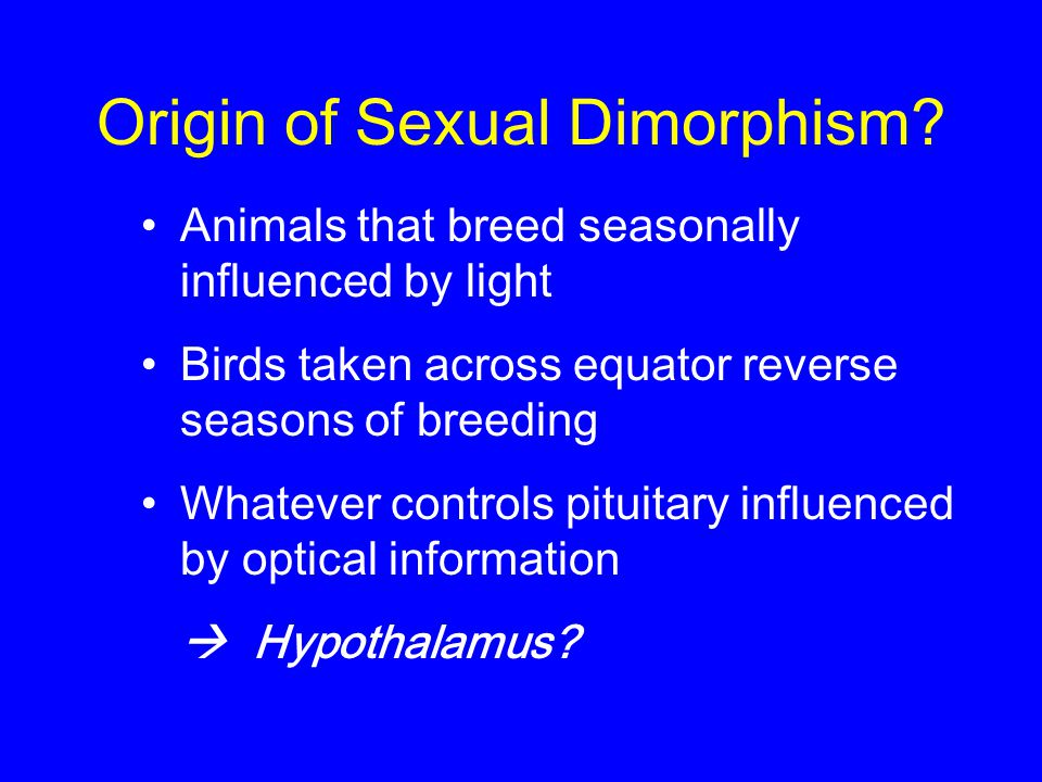 Origin of Sexual Dimorphism