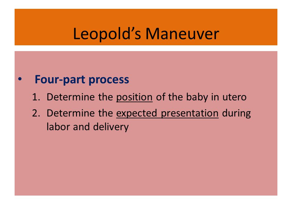 Leopold’s Maneuver Four-part process