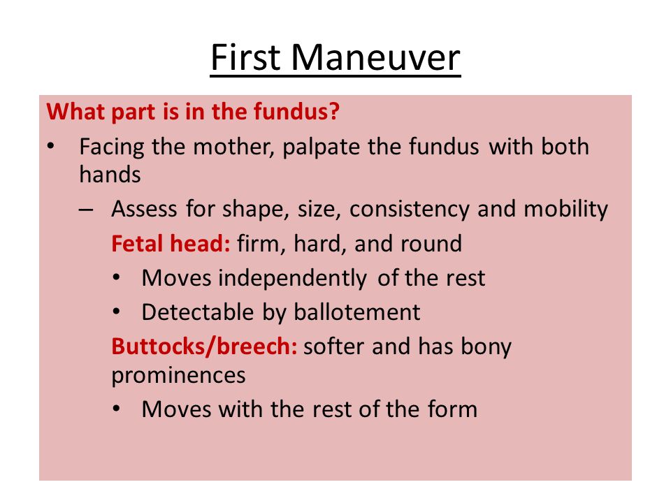 First Maneuver What part is in the fundus