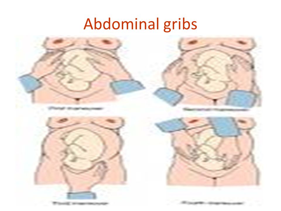 Abdominal gribs