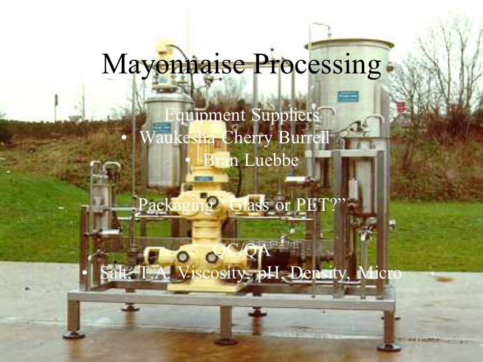 Mayonnaise Processing