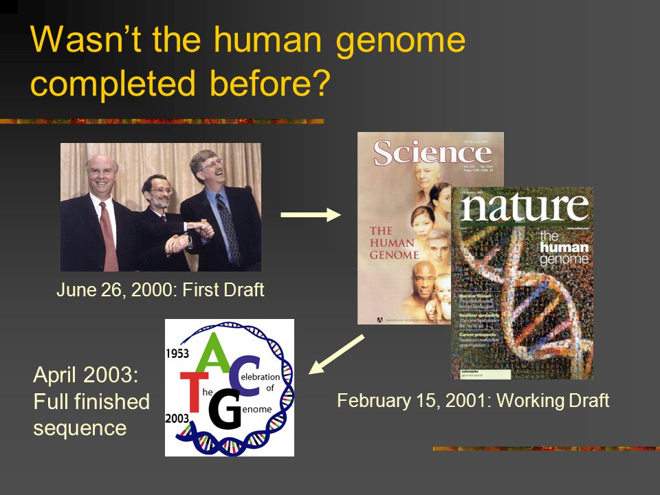 Implications of the Human Genome Project for Medical Research - ppt video online download