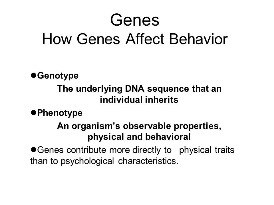 Genes How Genes Affect Behavior