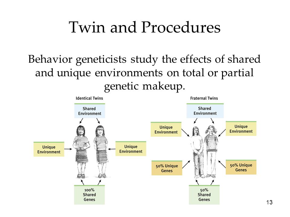 Twin and Procedures Behavior geneticists study the effects of shared and unique environments on total or partial genetic makeup.