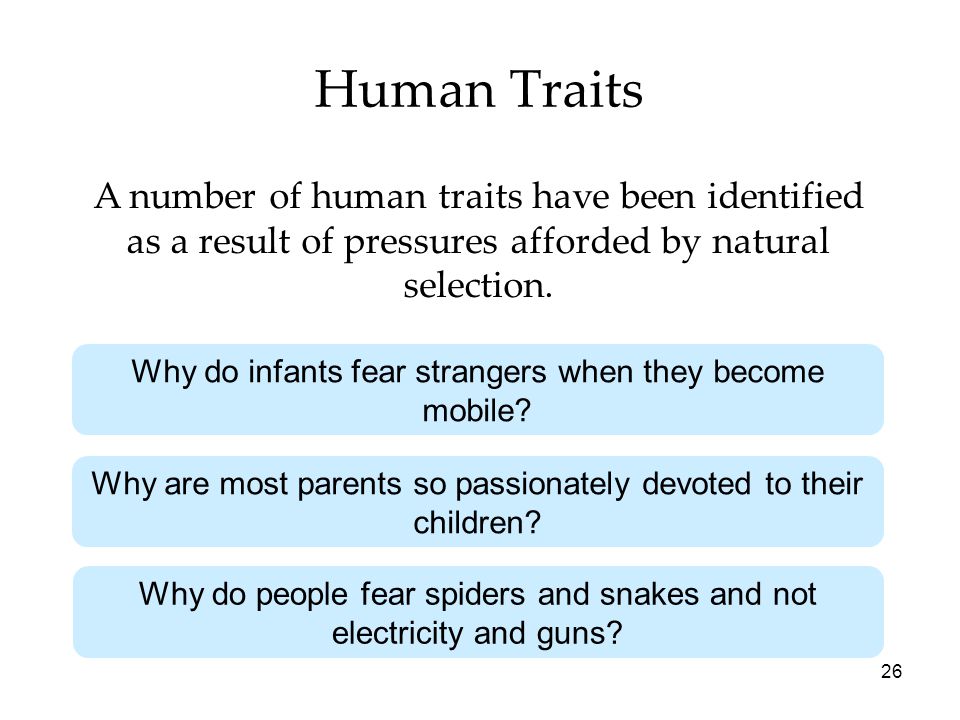 Human Traits A number of human traits have been identified as a result of pressures afforded by natural selection.