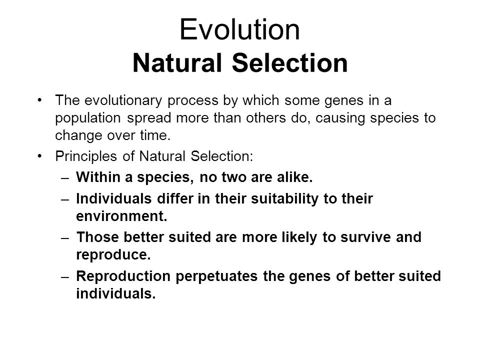 Evolution Natural Selection