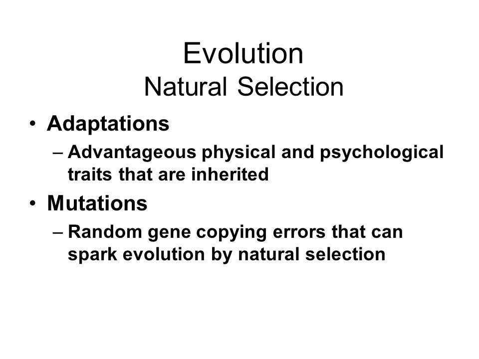 Evolution Natural Selection