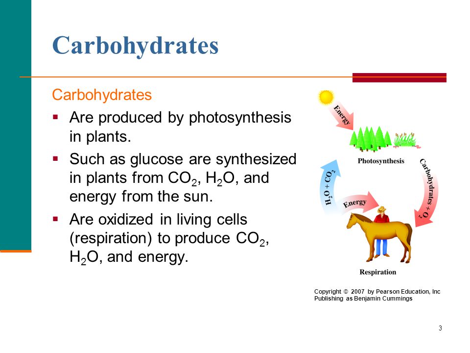 Carbohydrates Carbohydrates Are produced by photosynthesis in plants.