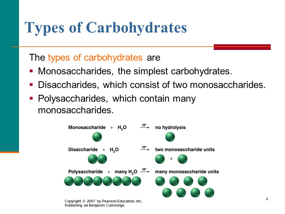 Types of Carbohydrates