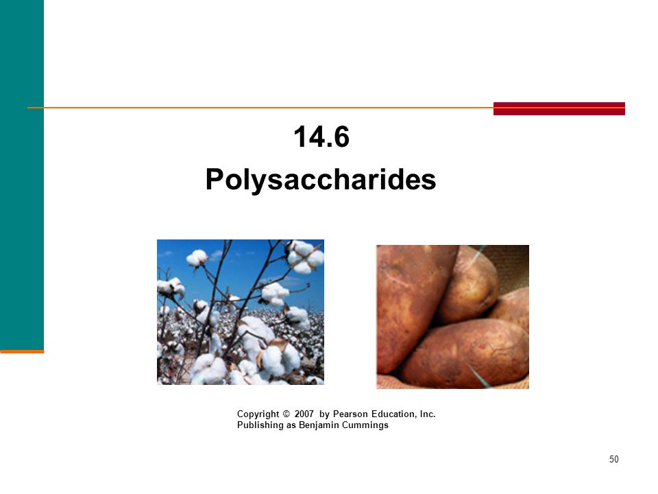 14.6 Polysaccharides Copyright © 2007 by Pearson Education, Inc.