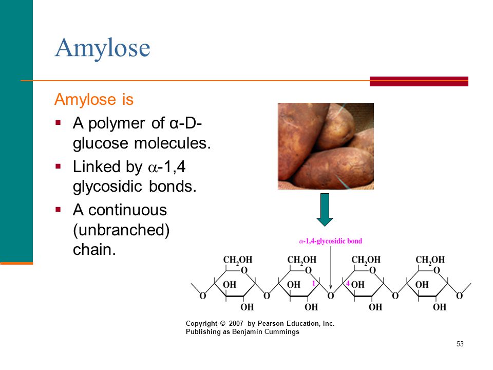 Amylose Amylose is A polymer of α-D-glucose molecules.
