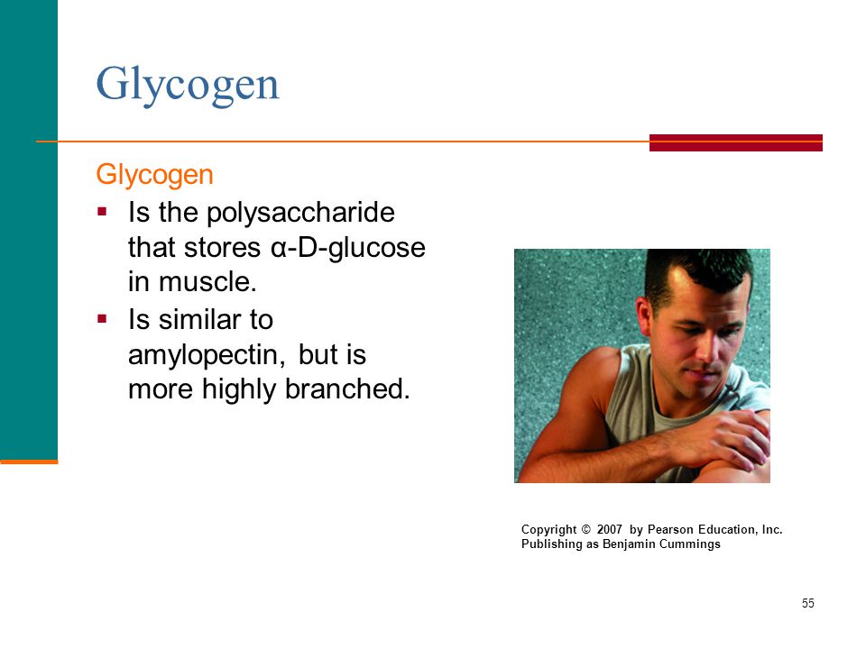 Glycogen Glycogen. Is the polysaccharide that stores α-D-glucose in muscle. Is similar to amylopectin, but is more highly branched.